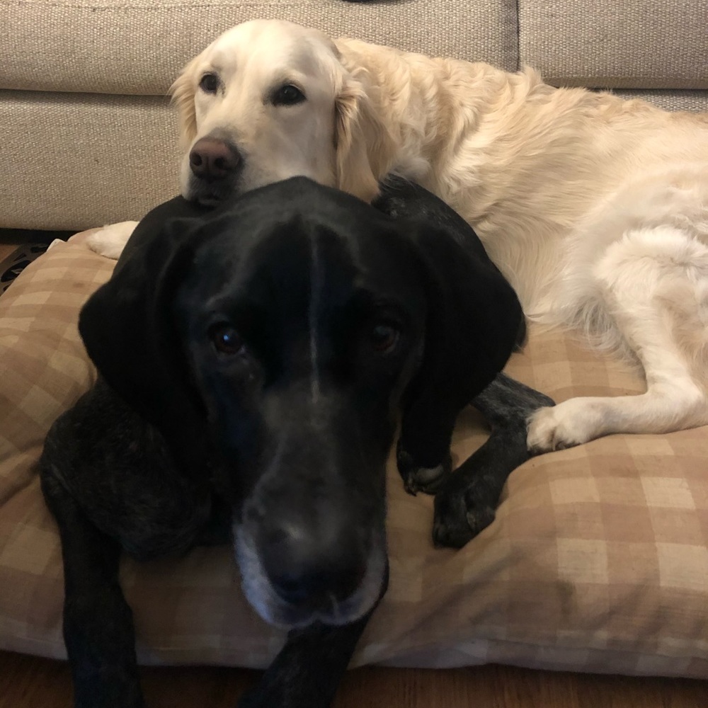 Meet your Posher, Ali